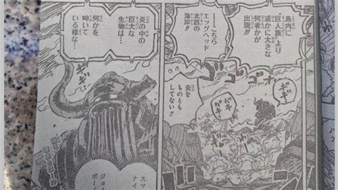 one piece 1111 spoiler reddit|ONE PIECE Spoilers .